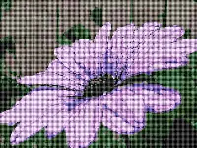 Purple Flower Cross Stitch Chart by September Cottage Crafts Discount