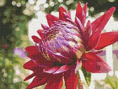 Red Flower Cross Stitch Chart by September Cottage Crafts Genuine