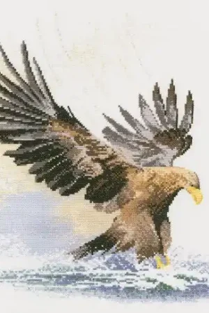 Eagle in Flight Cross Stitch Kit by Heritage Crafts New Arrival