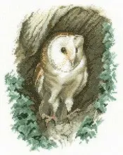 Barn Owl Cross Stitch Kit by Heritage Crafts Don’t Miss Out