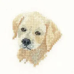 Golden Labrador Puppy Cross Stitch Kit by Heritage Crafts Price Drop