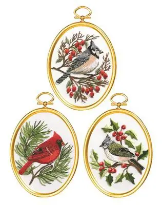 Winter Birds Embroidery Kit by Janlynn Sale