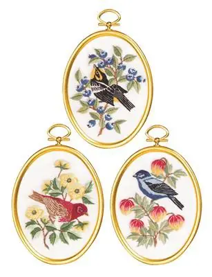 Feathers and Flora Embroidery Kit by Janlynn Next Day Delivery