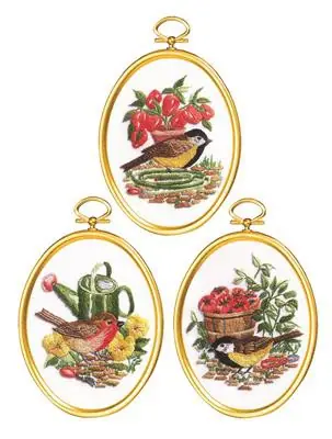 Authentic Garden Birds Embroidery Kit by Janlynn
