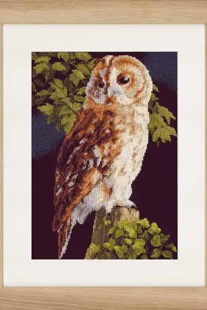 Owl Cross Stitch Kit By Lanarte Weekend Sale