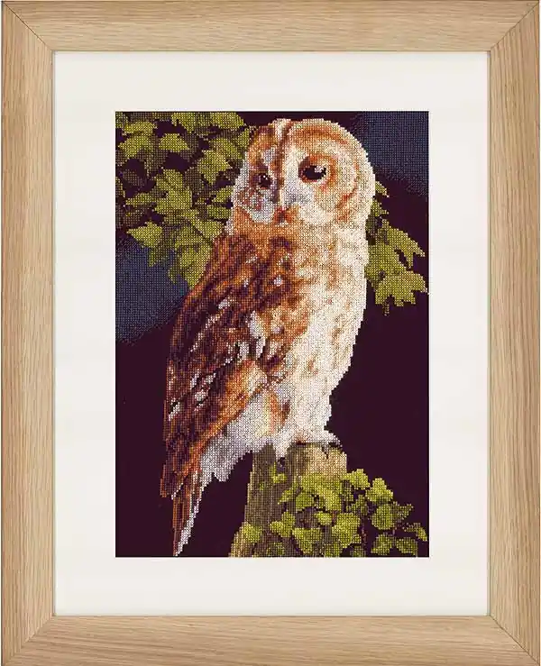 Owl Cross Stitch Kit By Lanarte Weekend Sale