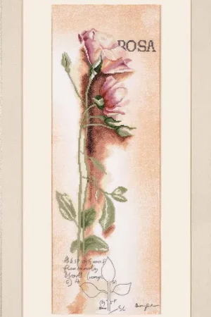 Save Now Botanical Rose Cross Stitch Kit By Lanarte