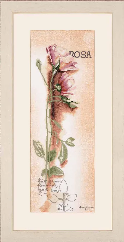 Save Now Botanical Rose Cross Stitch Kit By Lanarte
