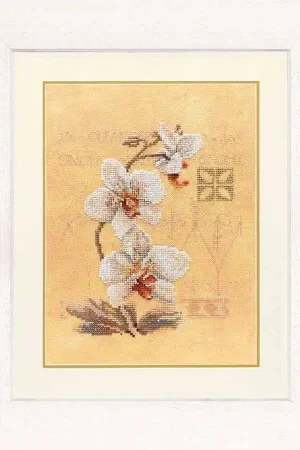 Three Orchids Cross Stitch Kit By Lanarte Top Pick