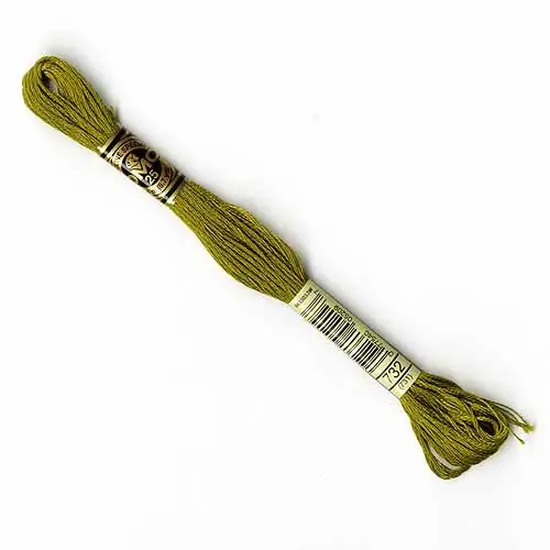 Editor’s Pick DMC Stranded Cotton - 732 (731)