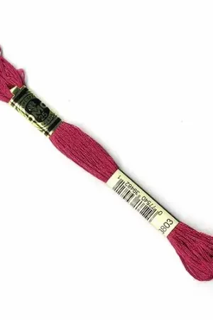 Secure Checkout DMC Stranded Cotton - 3803