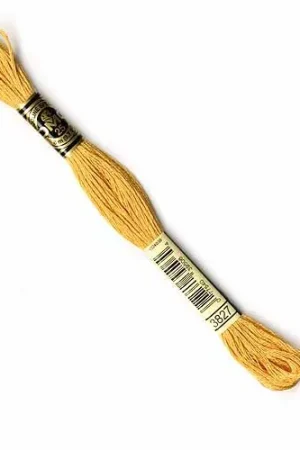 Brand New DMC Stranded Cotton - 3827