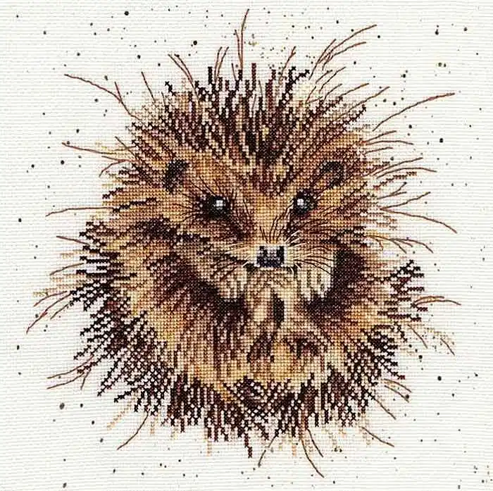 One Day Deal Awakening Cross Stitch Kit By Bothy Threads