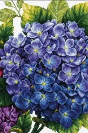 Bargain Hydrangea Printed Cross Stitch Kit by Needleart World