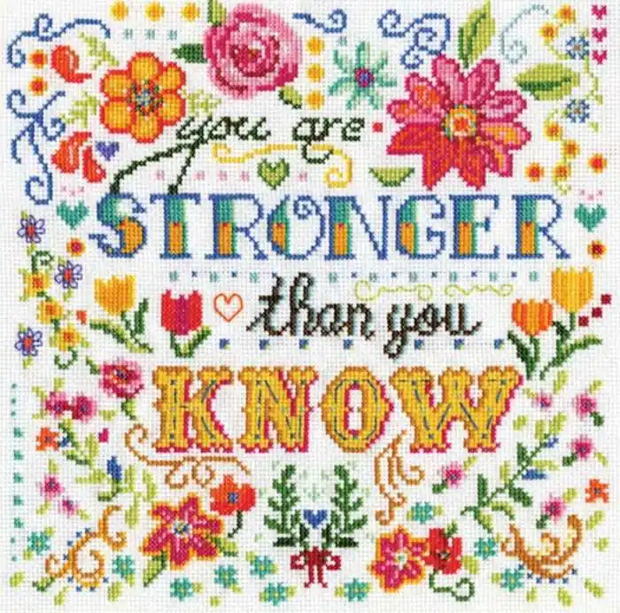 Best Price Stronger Cross Stitch Kit by Design Works