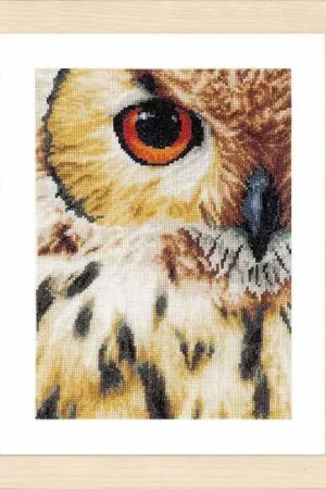 Owl Cross Stitch Kit By Lanarte Low Price