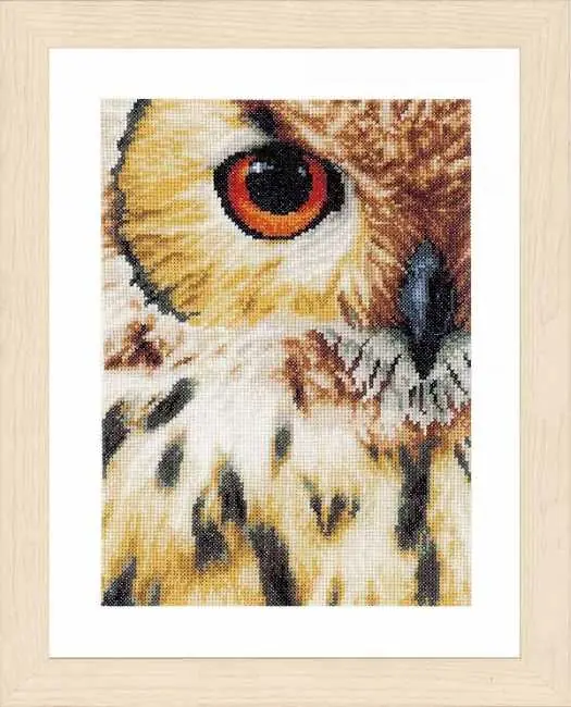 Owl Cross Stitch Kit By Lanarte Low Price