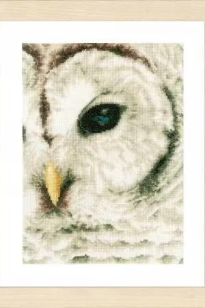 Owl Cross Stitch Kit By Lanarte Viral