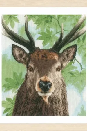 Sale Proud Red Deer Cross Stitch Kit By Lanarte