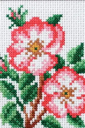 Trusted Brand Dog Rose Printed Cross Stitch Kit by Orchidea