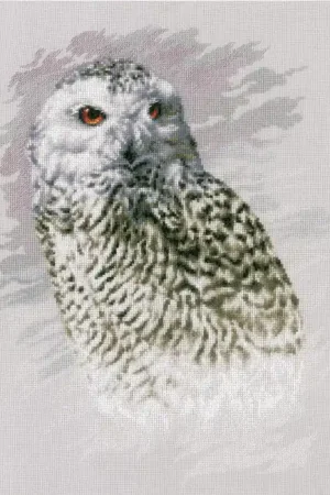 Bulk Order Snowy Owl Cross Stitch Kit By Lanarte