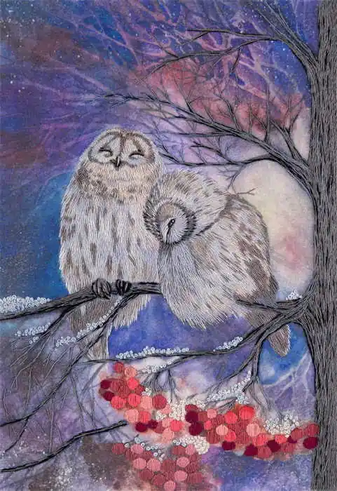 Limited Offer Gossip Owls Embroidery Kit by PANNA