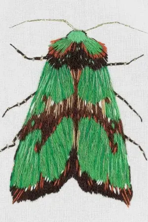 Mega Sale Green Moth Embroidery Kit by PANNA