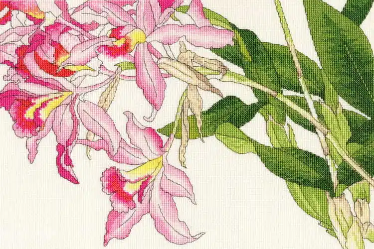 Orchid Blooms Cross Stitch Kit By Bothy Threads Fan Favorite
