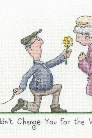 I Wouldn't Change You Cross Stitch Kit by Heritage Crafts Budget