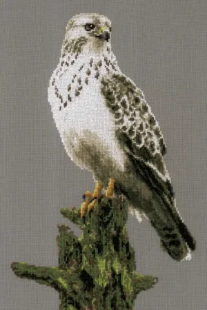 Special Offer Falcon Cross Stitch Kit By Lanarte
