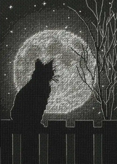 Black Moon Cat Cross Stitch Kit by Dimensions Bargain