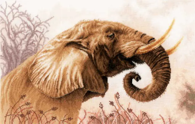 An Elephant Call Cross Stitch Kit By Lanarte Fresh Stock