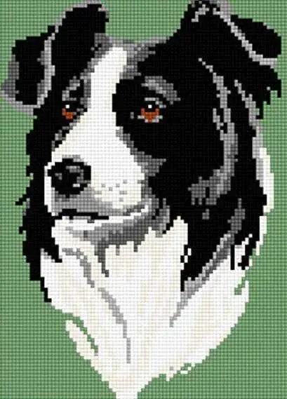Border Collie Tapestry Kit by Brigantia Needlework Hot Picks