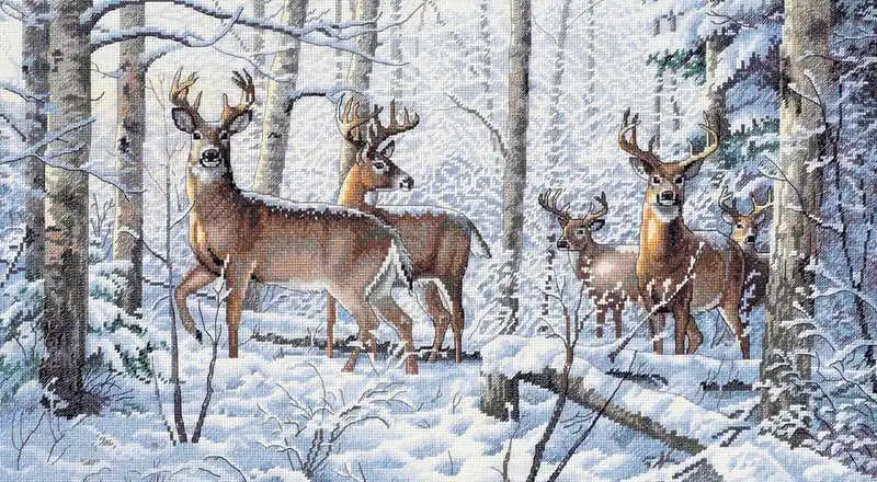 Best Choice Woodland Winter Cross Stitch Kit by Dimensions