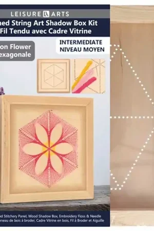 Today Only Hexagon Flower Shadow Box Wood Stitchery Kit By Leisure Arts
