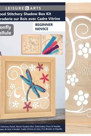 One Day Deal Dragon Fly Shadow Box Wood Stitchery Kit By Leisure Arts