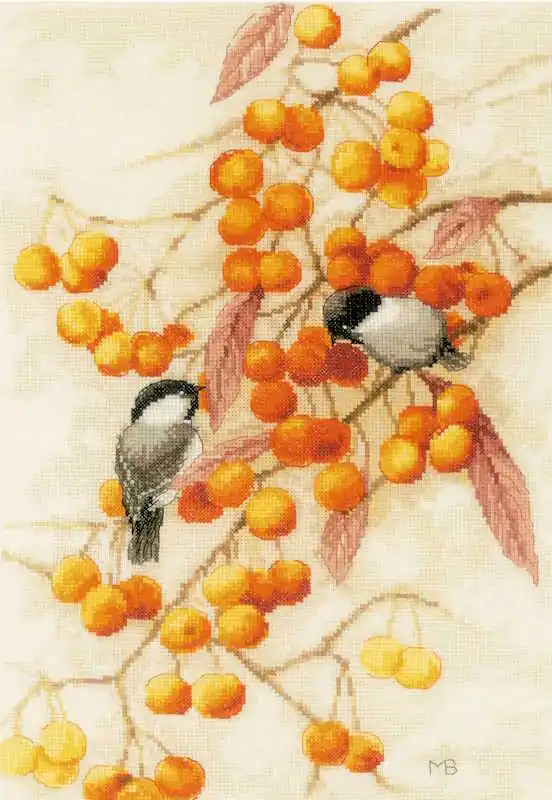 Little Orange Feast Cross Stitch Kit By Lanarte Budget