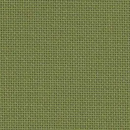 Affordable 20 Count Bellana Avacado
