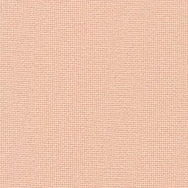 28 Count Brittney Peach Rose Time-Limited