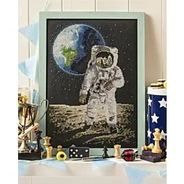 Instant Buy Cross Stitcher Project Pack - One Giant Leap XST346