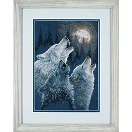 Counted Cross Stitch Kit: In Harmony Affordable