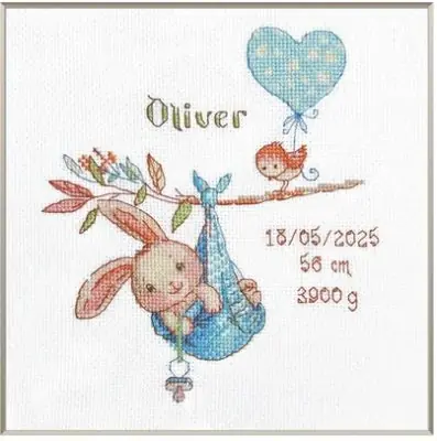 Boy Birth Sampler by Aine Don’t Miss Out