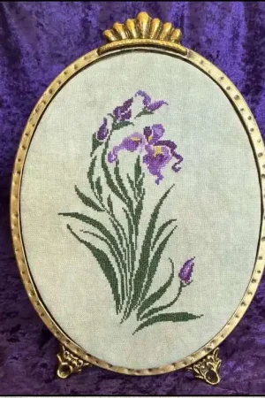 Purple Iris by Keslyns Budget