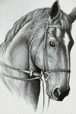 Premium Horse by Paine Free Crafts