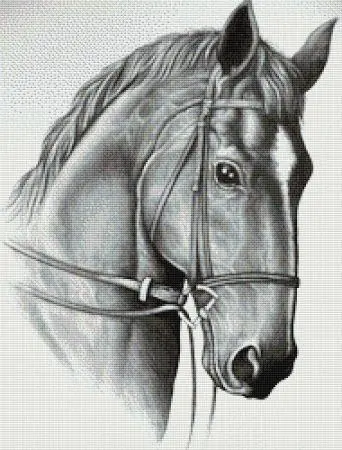 Premium Horse by Paine Free Crafts