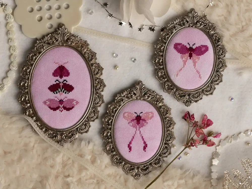 Top Pick Valentine Curios by Sprouting Lupine