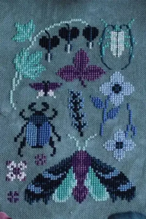 Don’t Miss Out Twilight Nature Walk by Sprouting Lupine