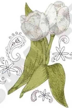Bargain Tulips With Paisley Embroidery Design