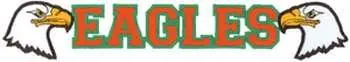 Fast Shipping Eagles Embroidery Design