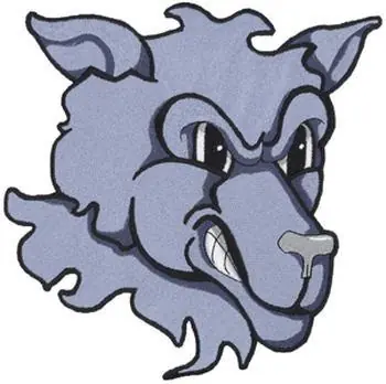 Wolf Head Embroidery Design Factory Price